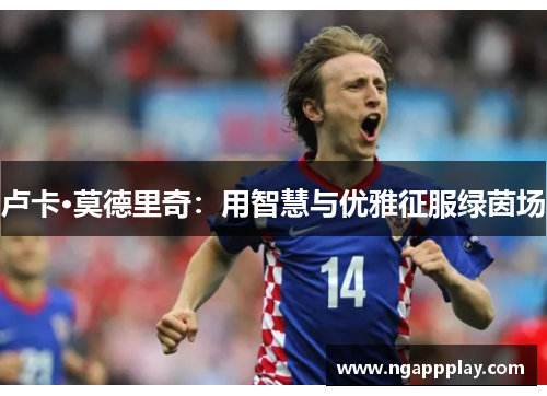 卢卡·莫德里奇：用智慧与优雅征服绿茵场