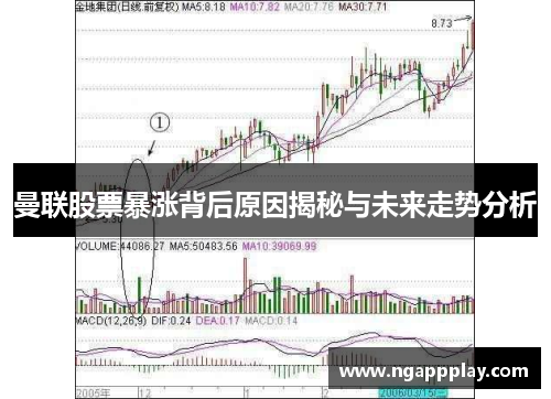 曼联股票暴涨背后原因揭秘与未来走势分析