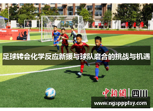 足球转会化学反应新援与球队磨合的挑战与机遇